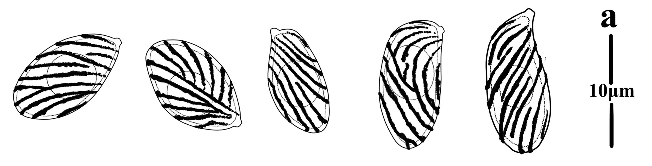 Figure 79